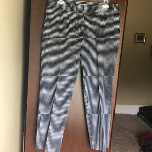 Talbots Signature Polka Dot Pants